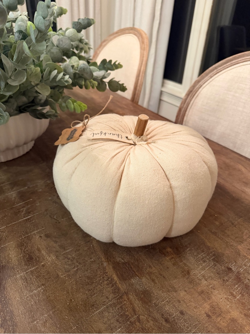 NWT Mud Pie medium cream cotton pumpkin